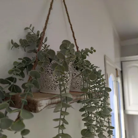 Casa Sunrise * Punta Mujeres