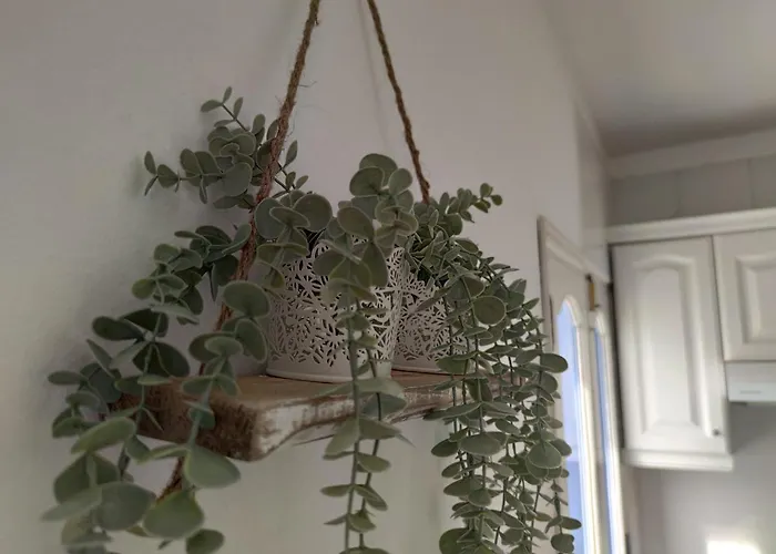 Casa Sunrise * Punta Mujeres